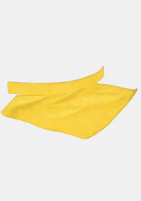 Enduranceabel Clerical Bib